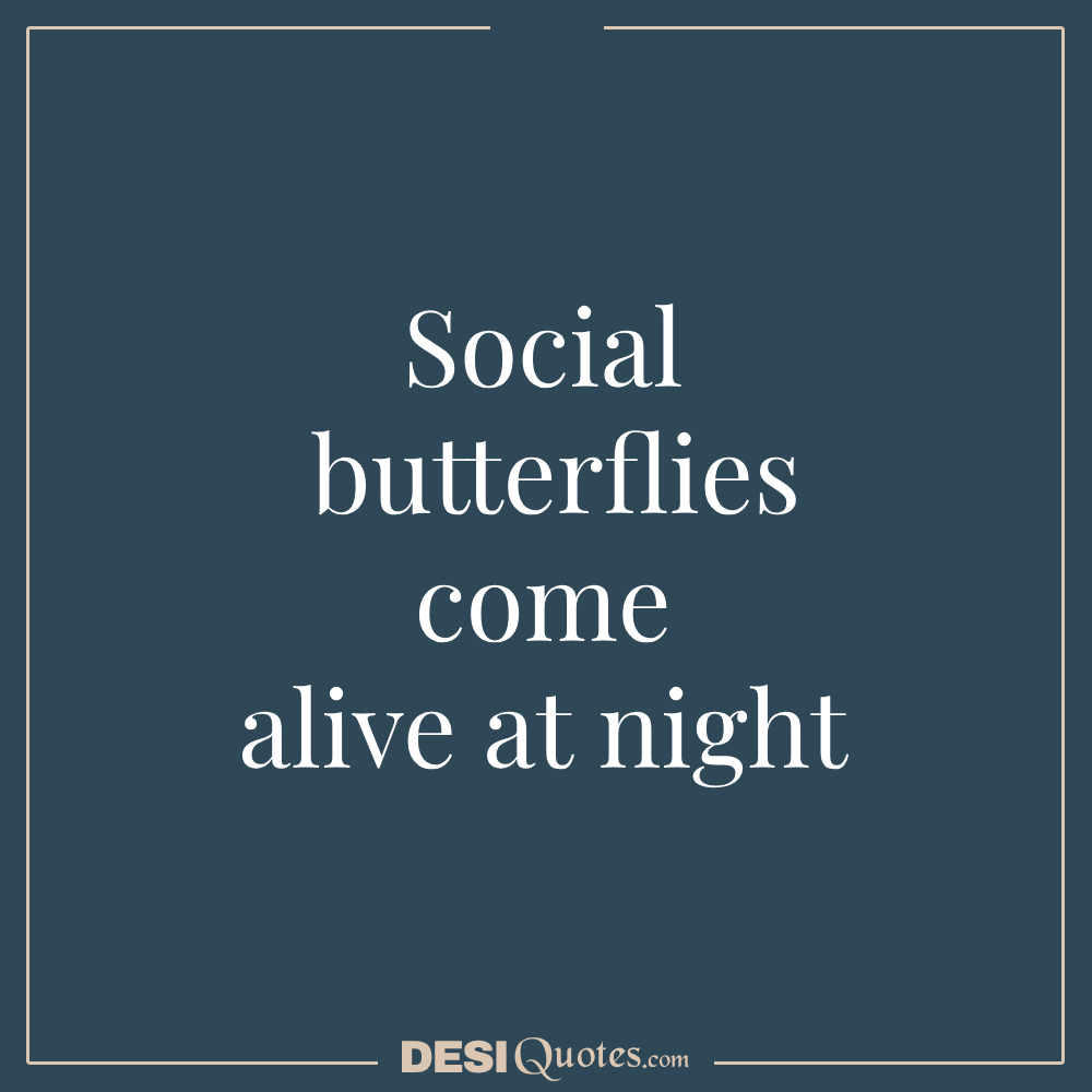 Social Butterflies Come Alive At Night