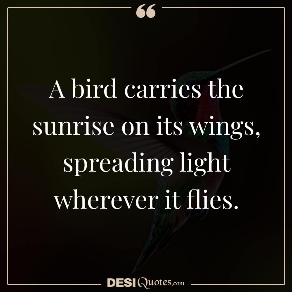 A Bird Carries The Sunrise On Its Wings, Spreading