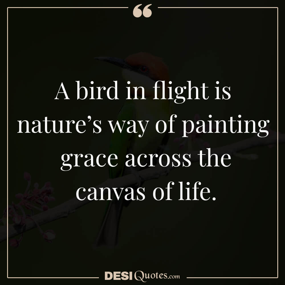 A Bird In Flight Is Nature’s Way Of Painting