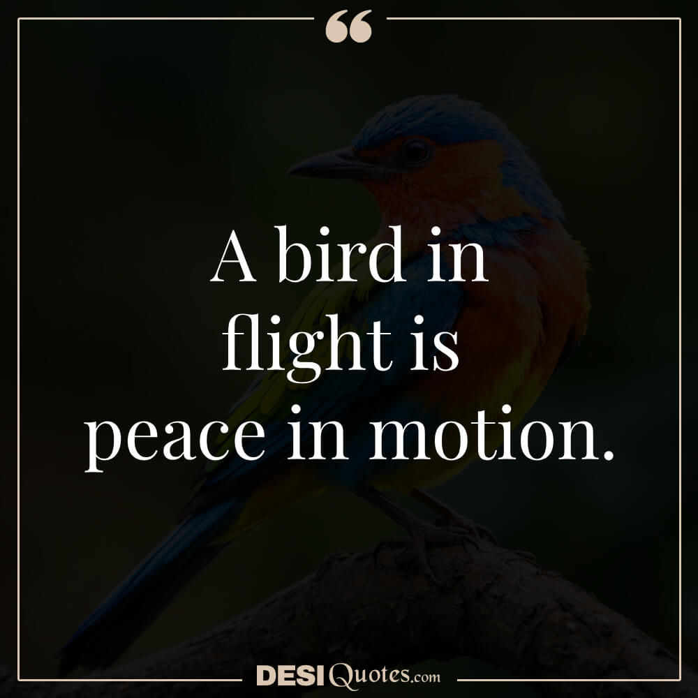 A Bird In Flight Is Peace In Motion.