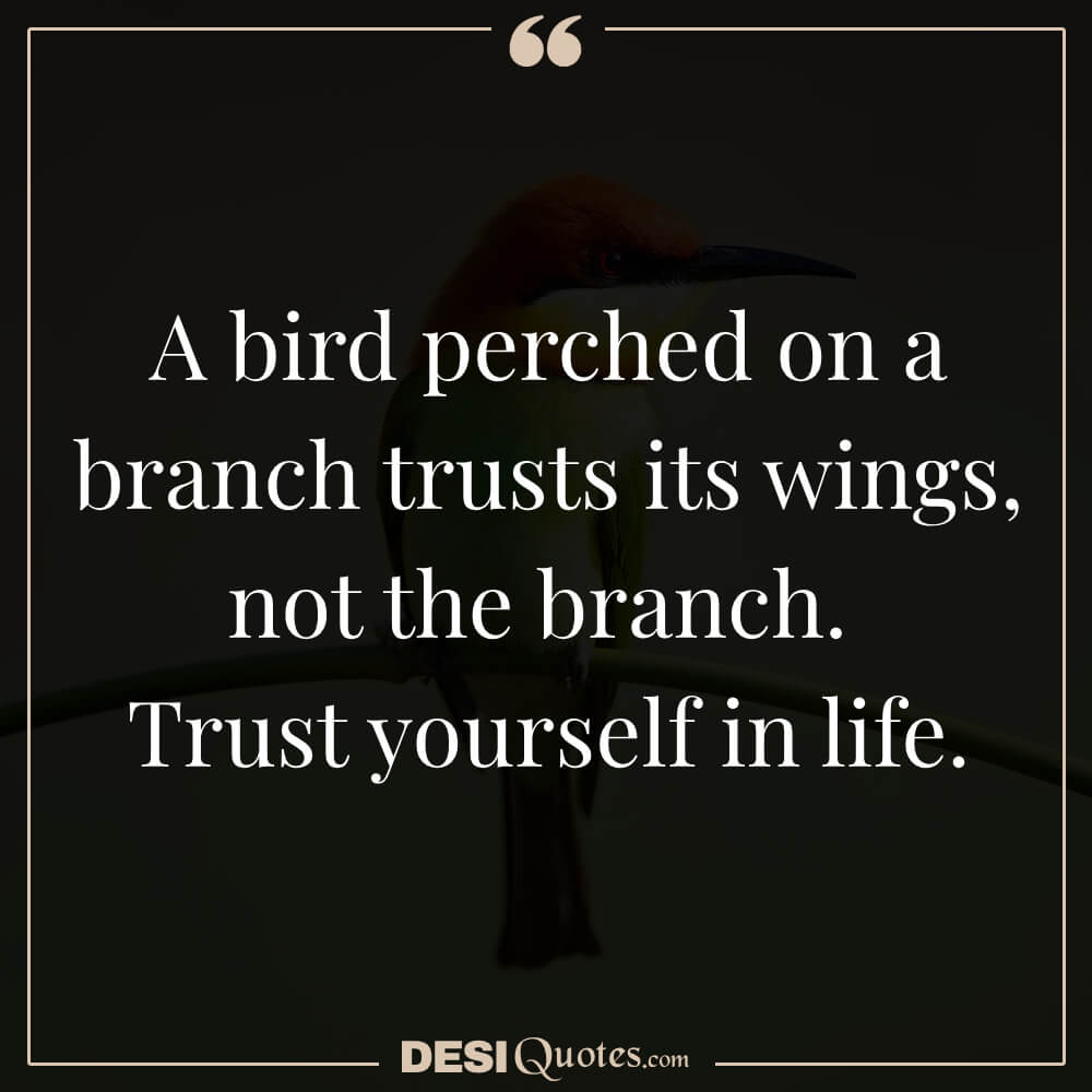 A Bird Perched On A Branch Trusts Its Wings, Not The