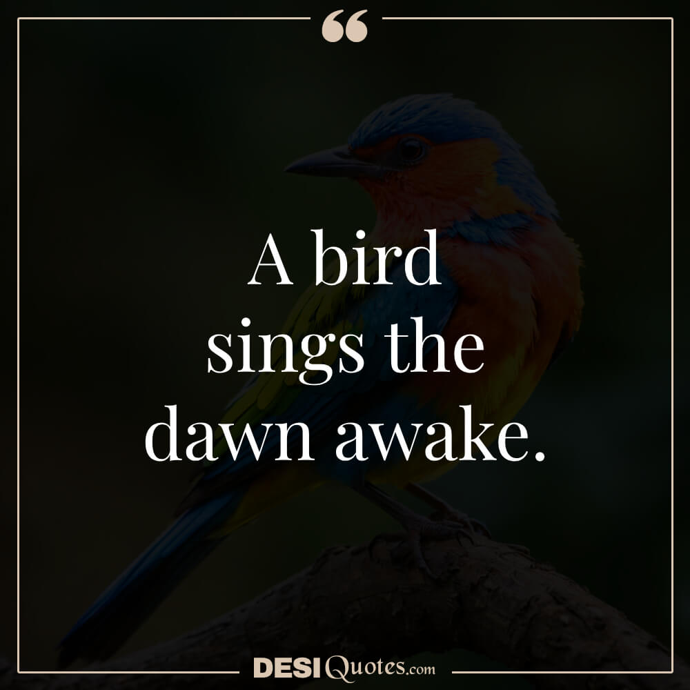 A Bird Sings The Dawn Awake.