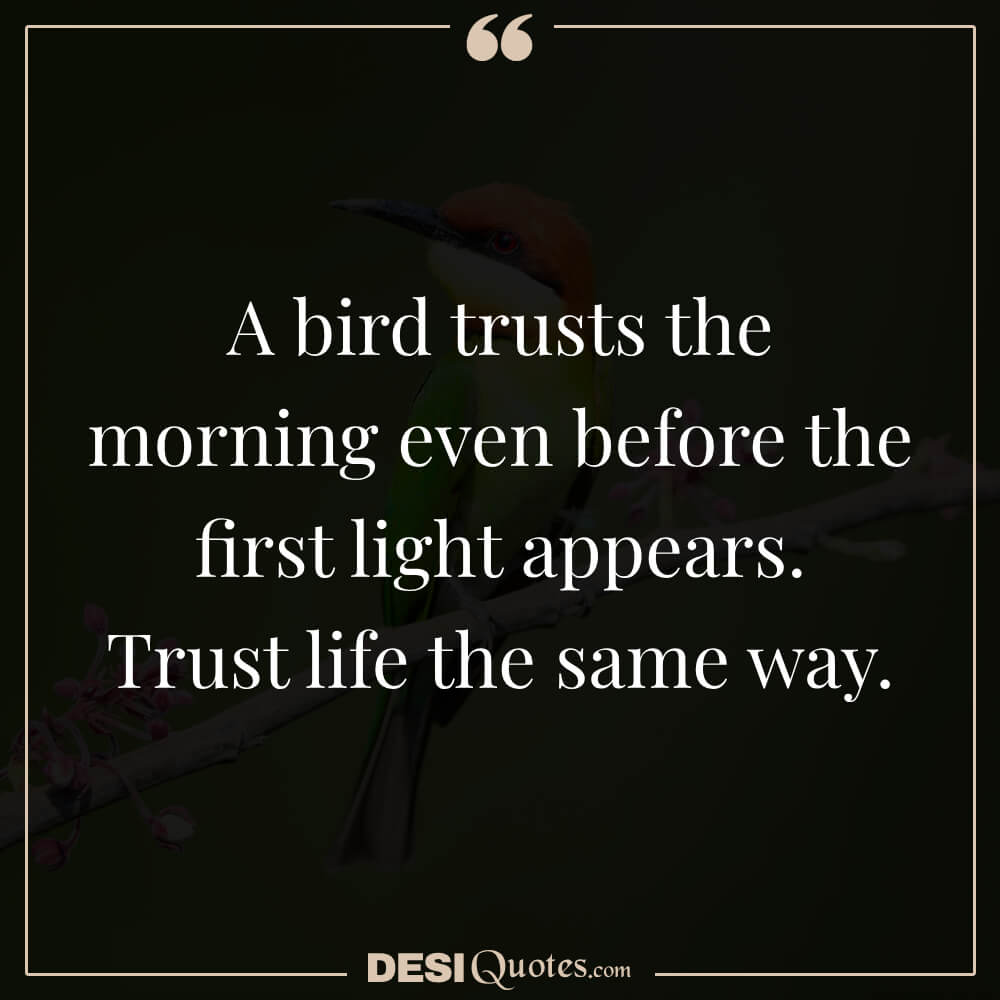 A Bird Trusts The Morning Even Before The First