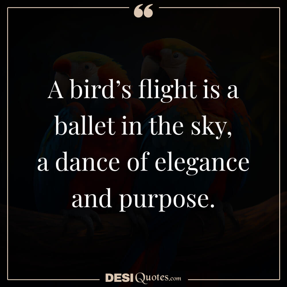 A Bird’s Flight Is A Ballet In The Sky, A Dance Of