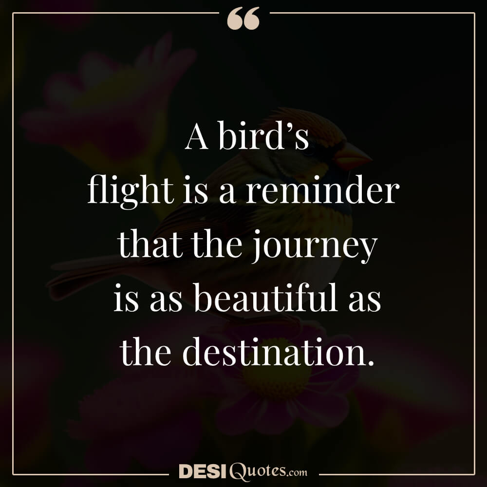 A Bird’s Flight Is A Reminder That The Journey