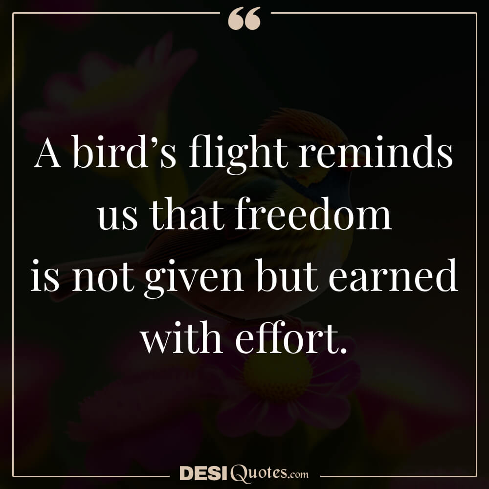 A Bird’s Flight Reminds Us That Freedom Is Not Given