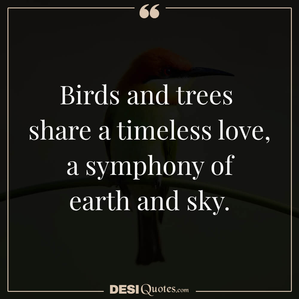 Birds And Trees Share A Timeless Love, A Symphony