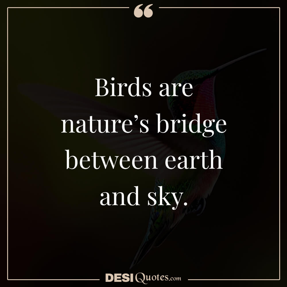 Birds Are Nature’s Bridge Between Earth And