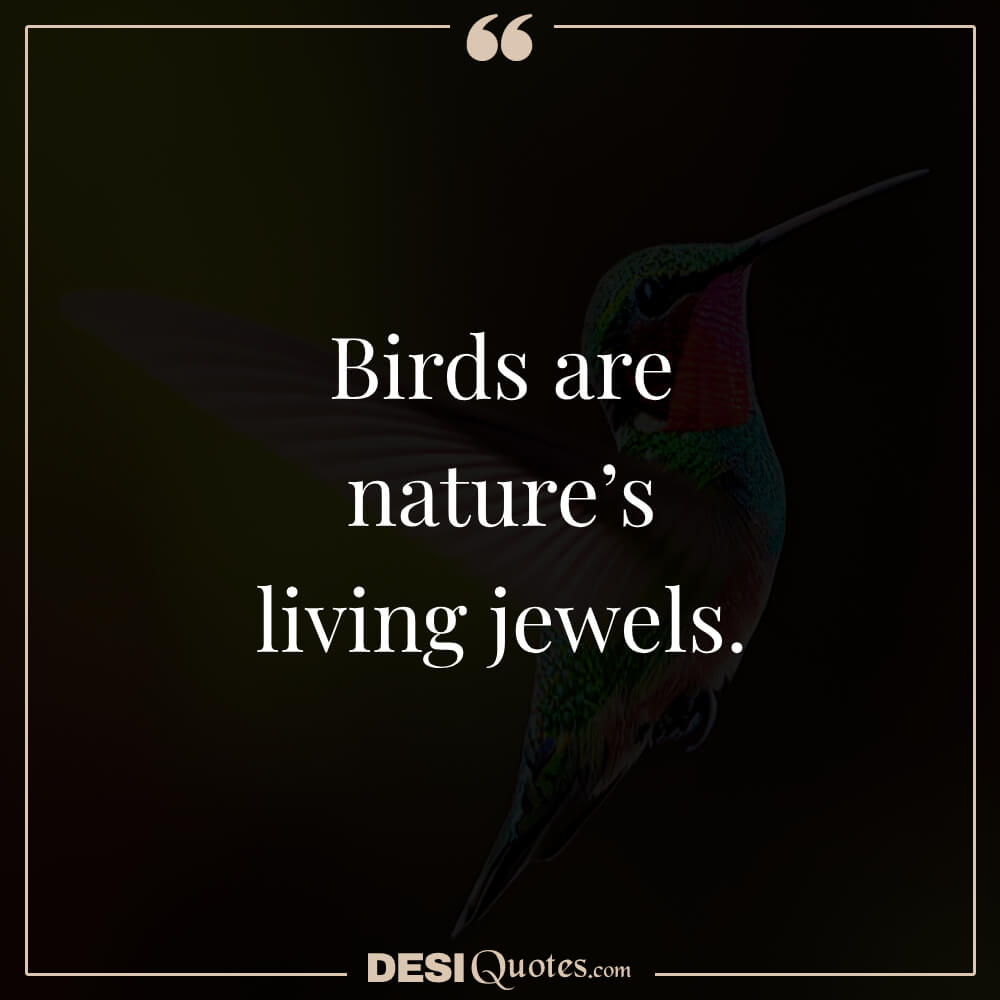 Birds Are Nature’s Living Jewels.