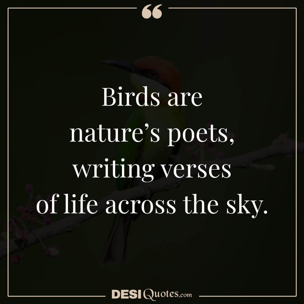 Birds Are Nature’s Poets, Writing Verses Of Life Across