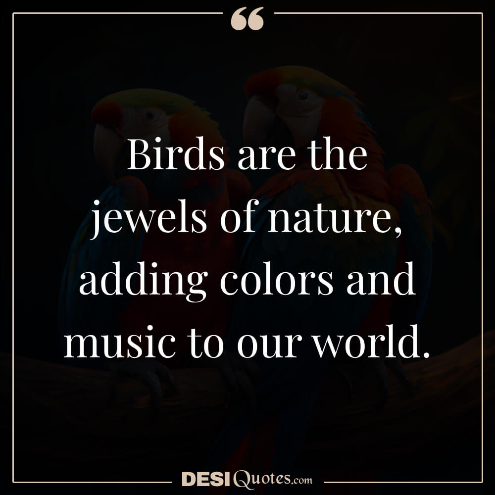 Birds Are The Jewels Of Nature, Adding Colors And