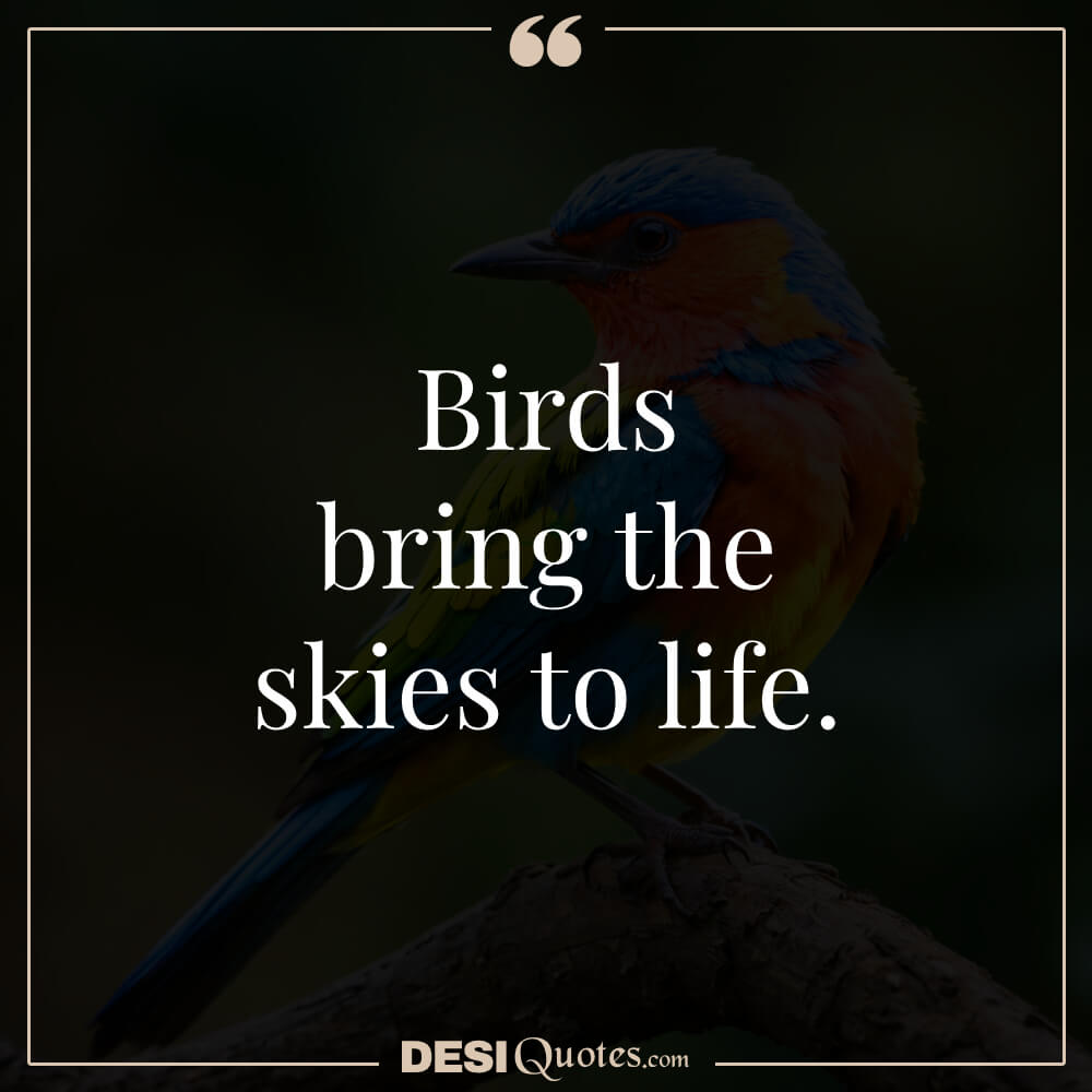 Birds Bring The Skies To Life.