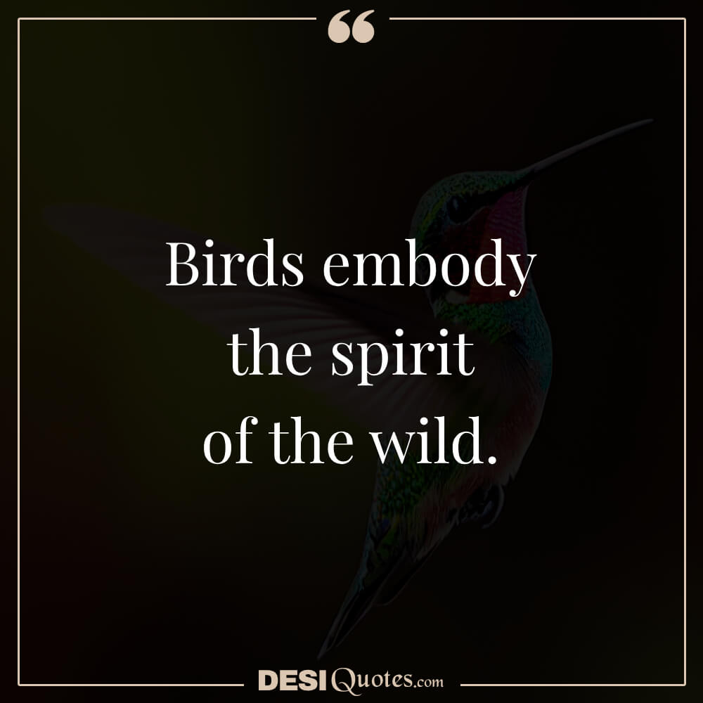 Birds Embody The Spirit Of The Wild.