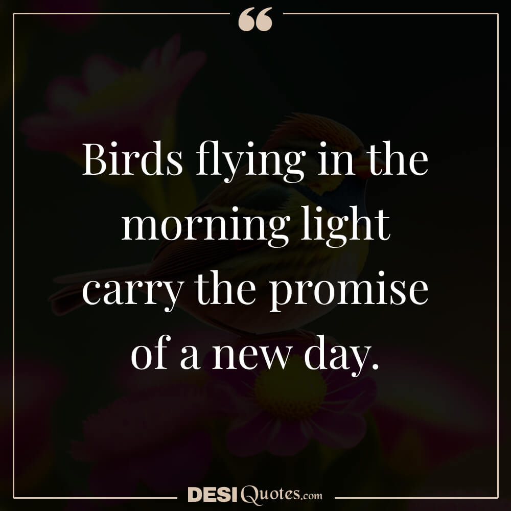 Birds Flying In The Morning Light Carry The Promise