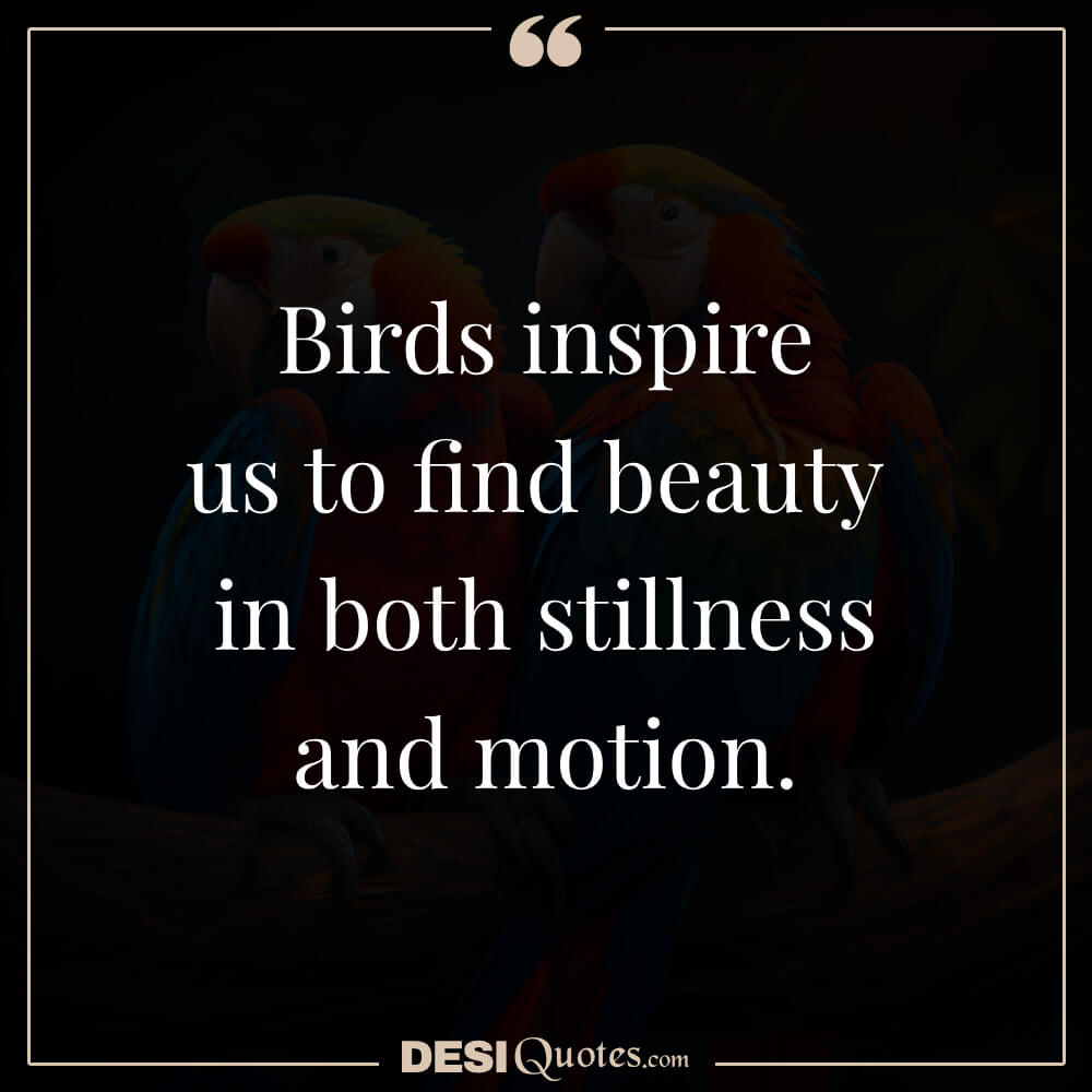 Birds Inspire Us To Find Beauty In Both Stillness