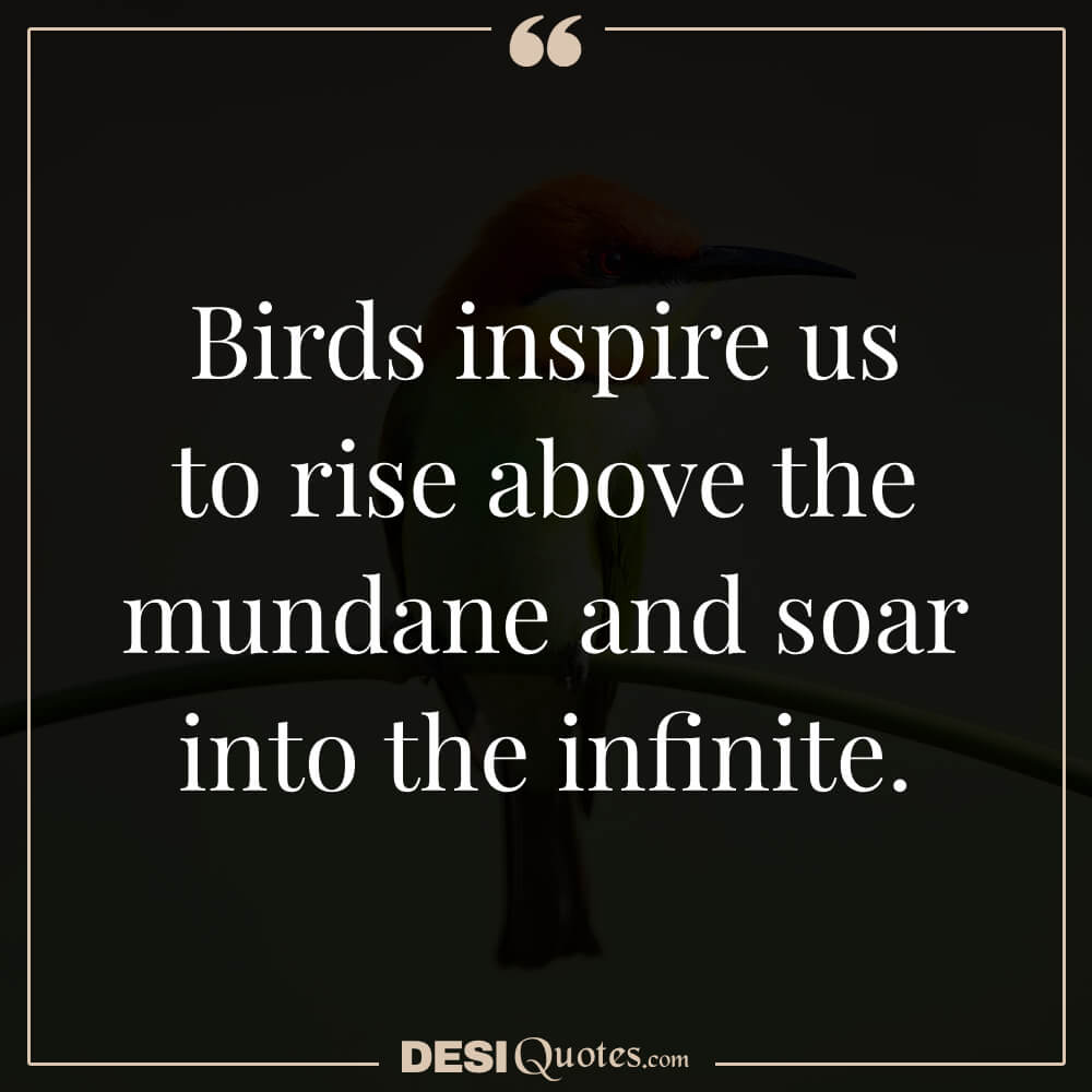 Birds Inspire Us To Rise Above The Mundane And Soar