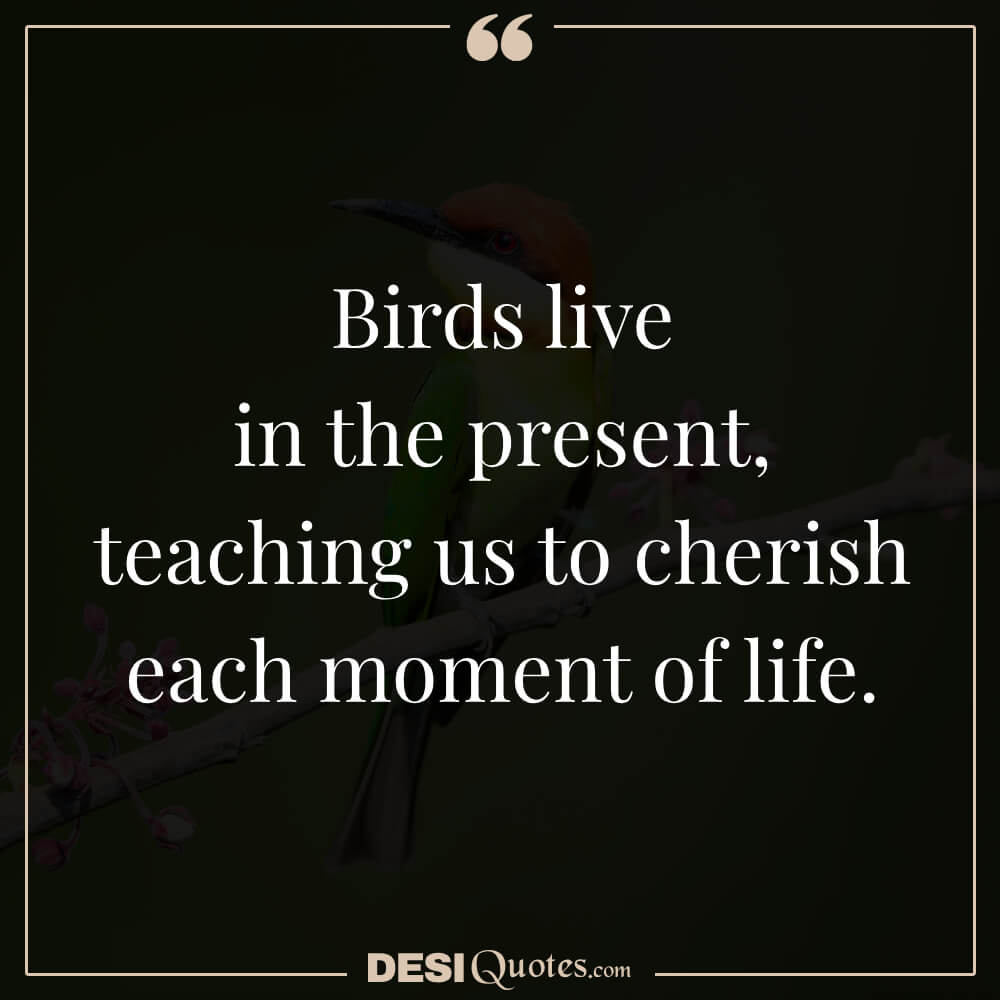 Birds Live In The Present, Teaching Us To Cherish Each