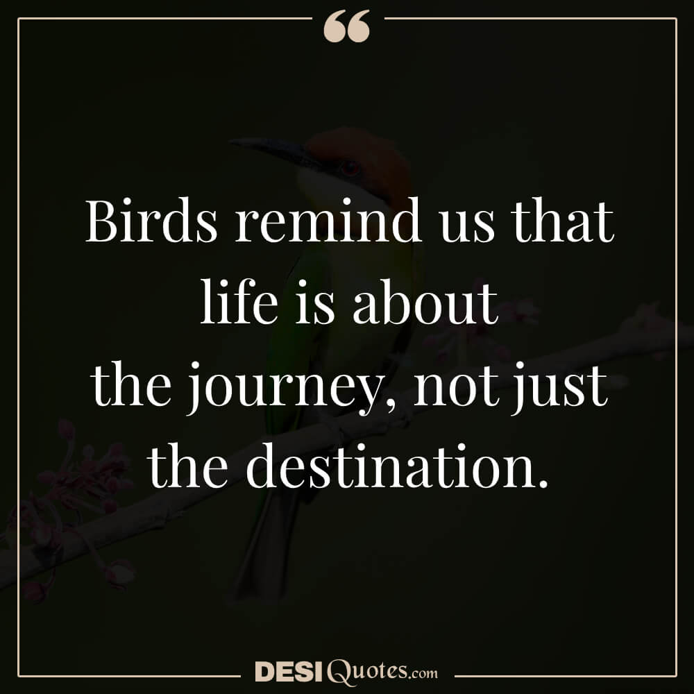 Birds Remind Us That Life Is About The Journey, Not Just