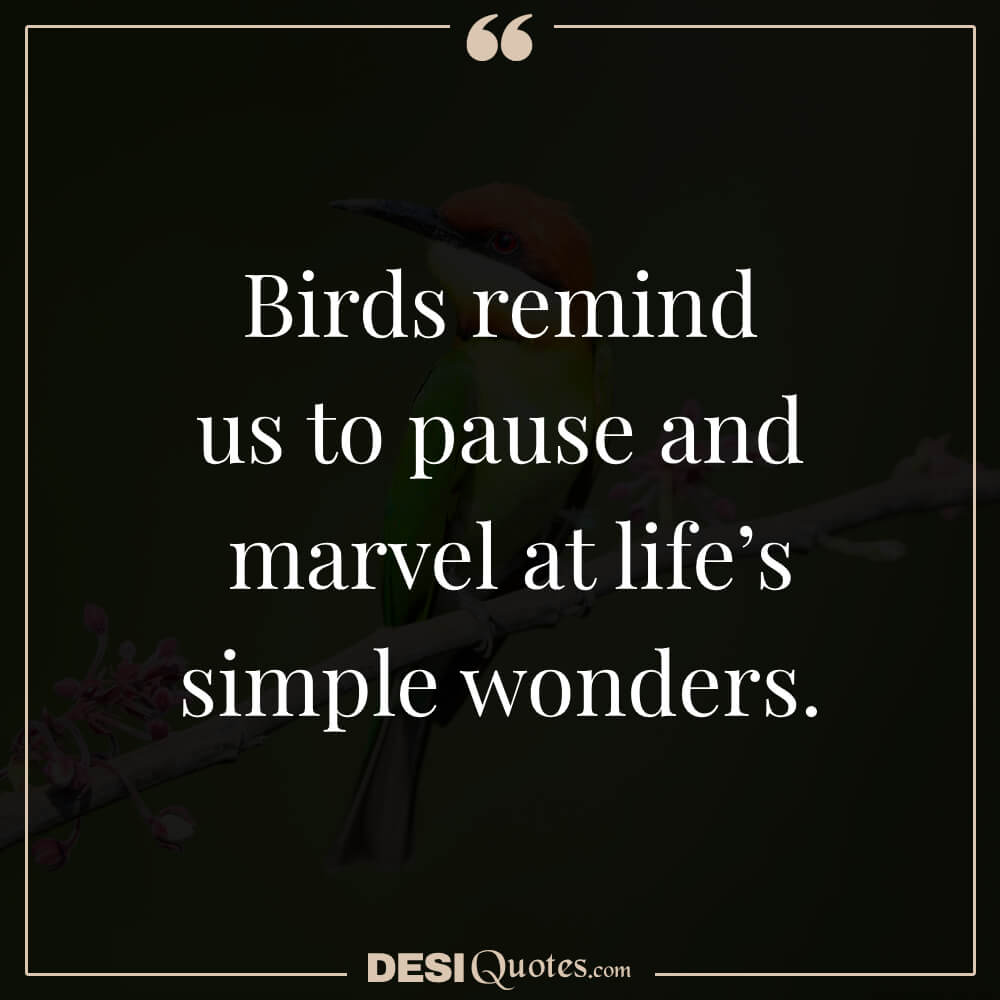 Birds Remind Us To Pause And Marvel At Life’s Simple