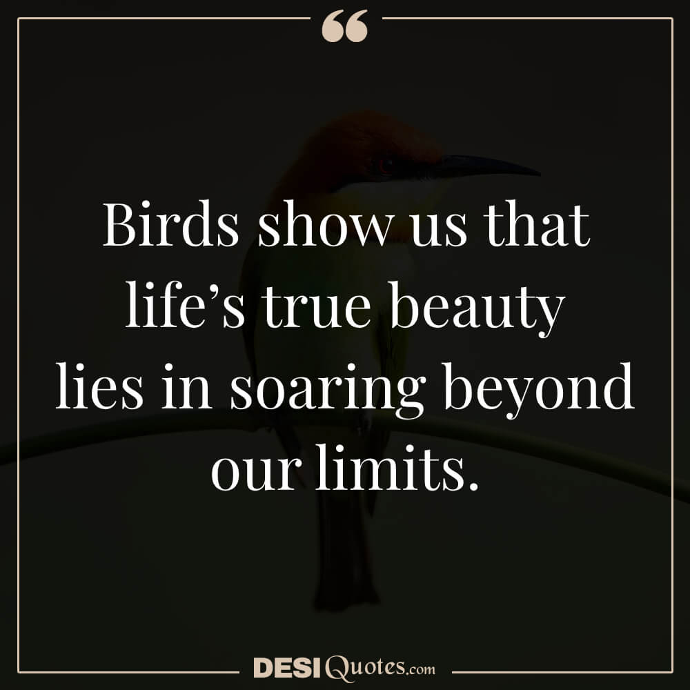 Birds Show Us That Life’s True Beauty Lies In Soaring