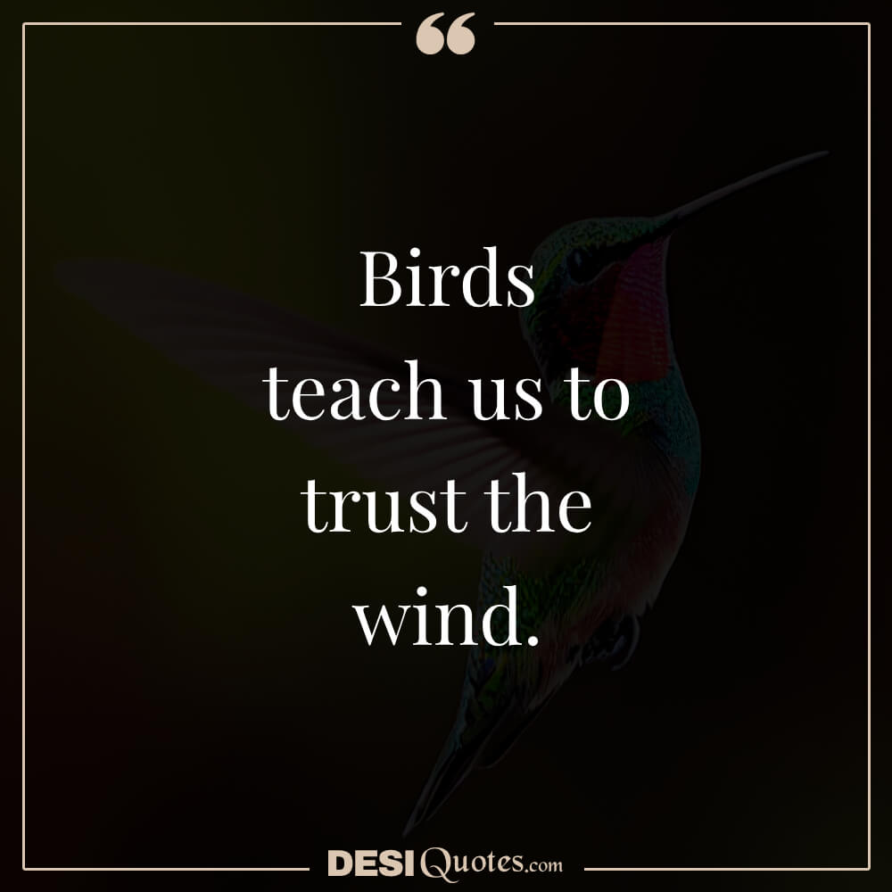 Birds Teach Us To Trust The Wind.