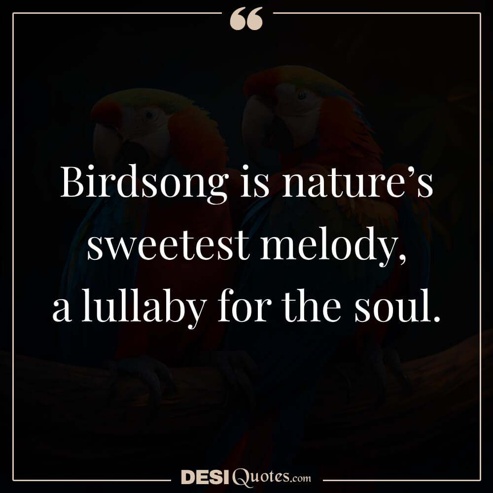 Birdsong Is Nature’s Sweetest Melody