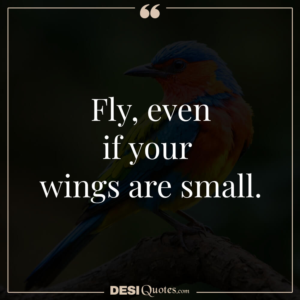 Fly, Even If Your Wings Are Small.