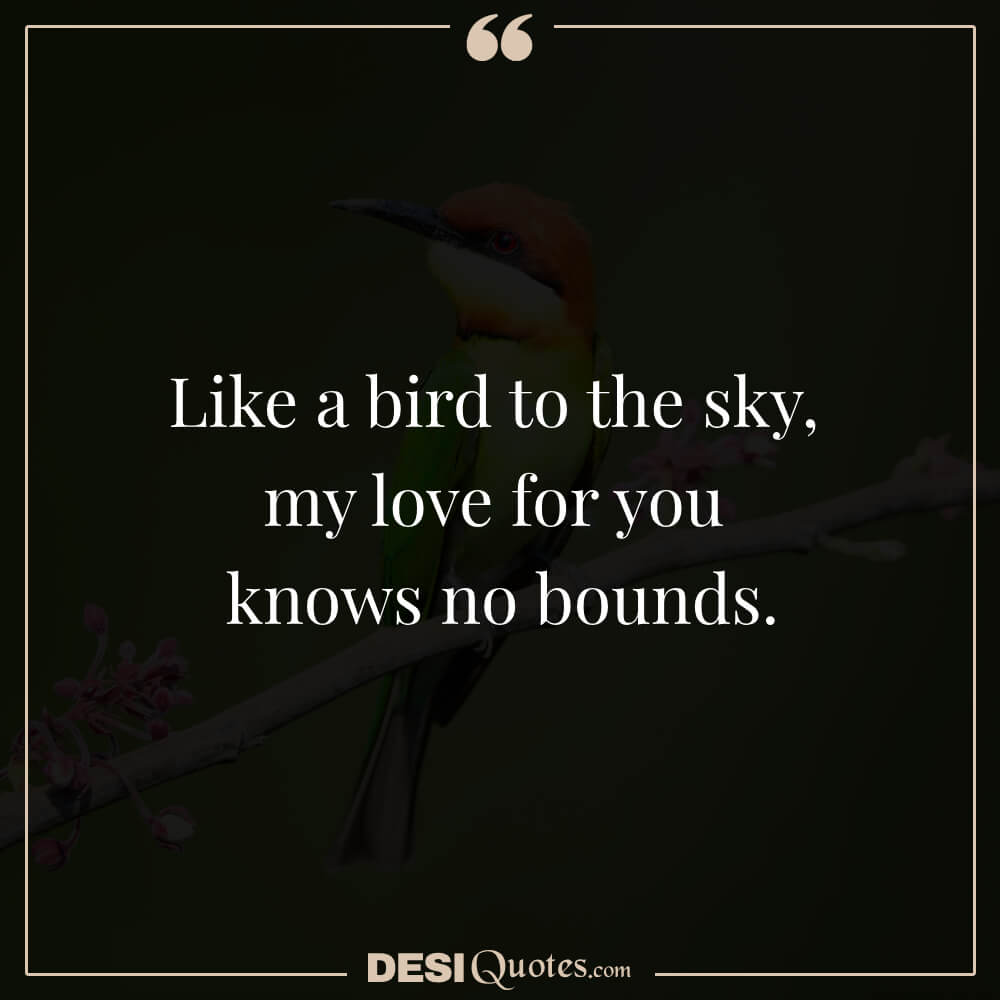 Like A Bird To The Sky, My Love For You Knows No