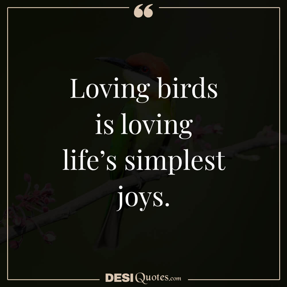 Loving Birds Is Loving Life’s Simplest Joys.