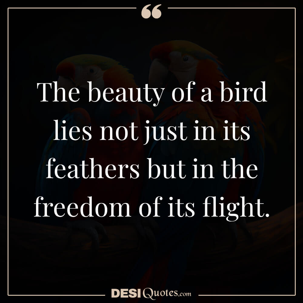 The Beauty Of A Bird Lies Not Just In Its Feathers