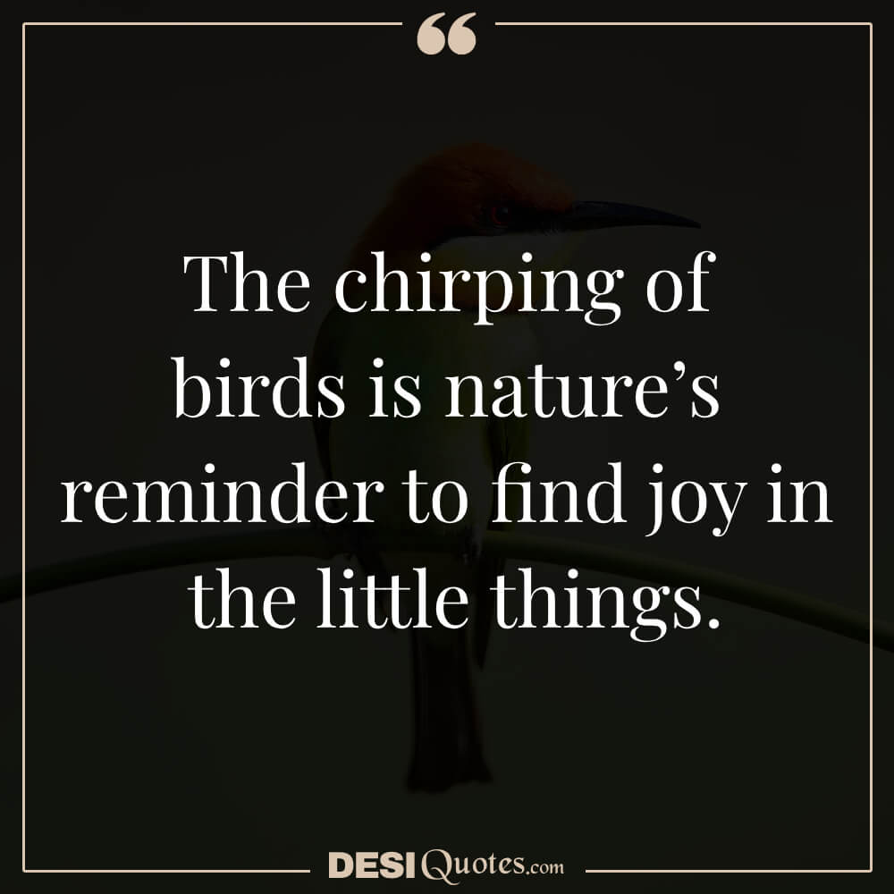 The Chirping Of Birds Is Nature’s Reminder To Find Joy