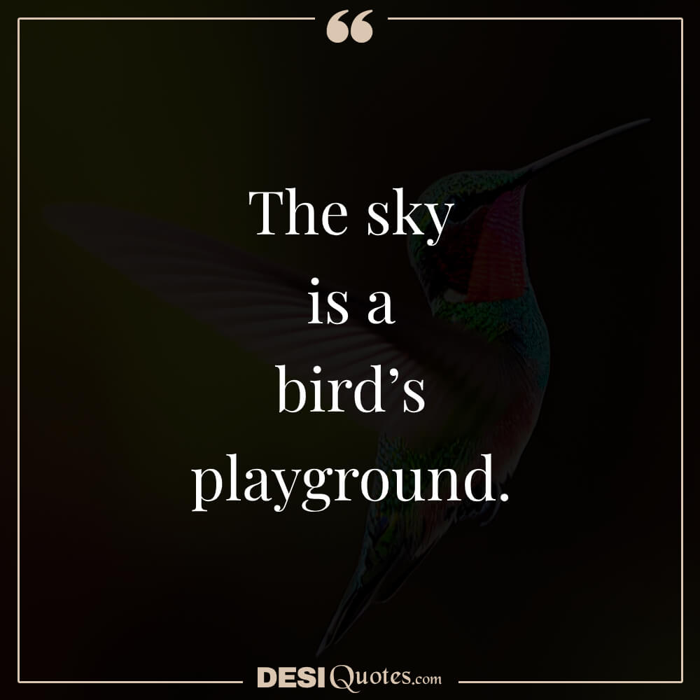 The Sky Is A Bird’s Playground.