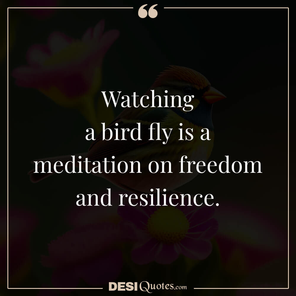 Watching A Bird Fly Is A Meditation On Freedom And